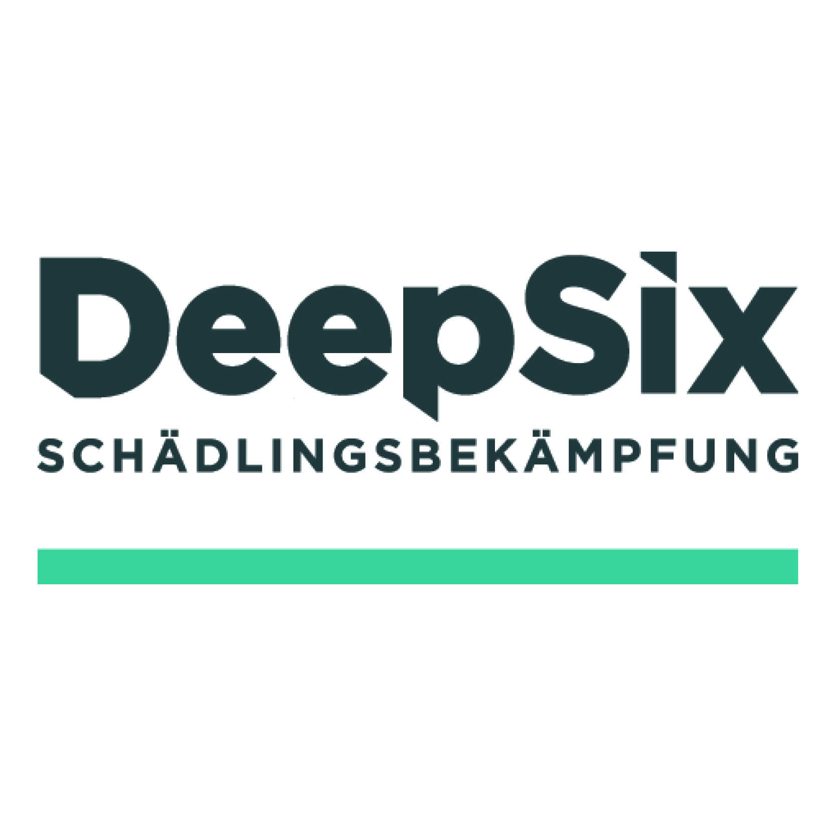 Roots-Campus-studentische-Agentur-Werbeagentur-Unternehmensberatung-Köln-NRW-Referenzen-Deepsix